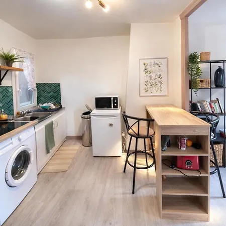 Appartement Charment Dans Le Centre Du Puy-en-velay *